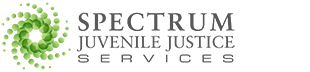 Juvenile Justice Logo